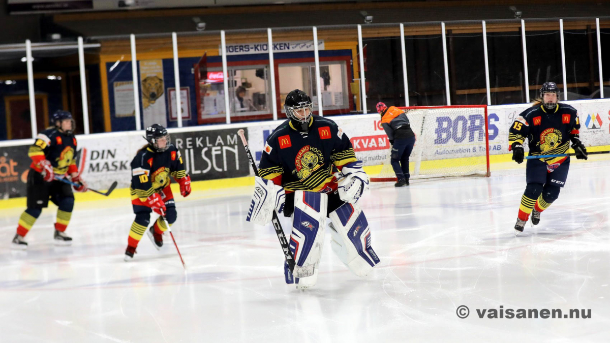 20190316värnamohockeydam (13)