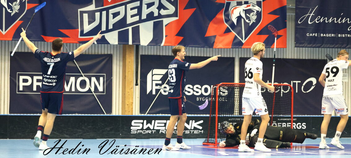 Växjö Vipers Jönköpings IK