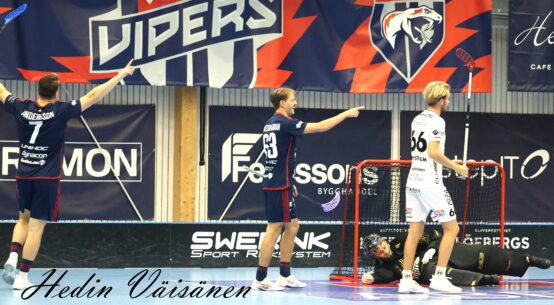 Växjö Vipers Jönköpings IK