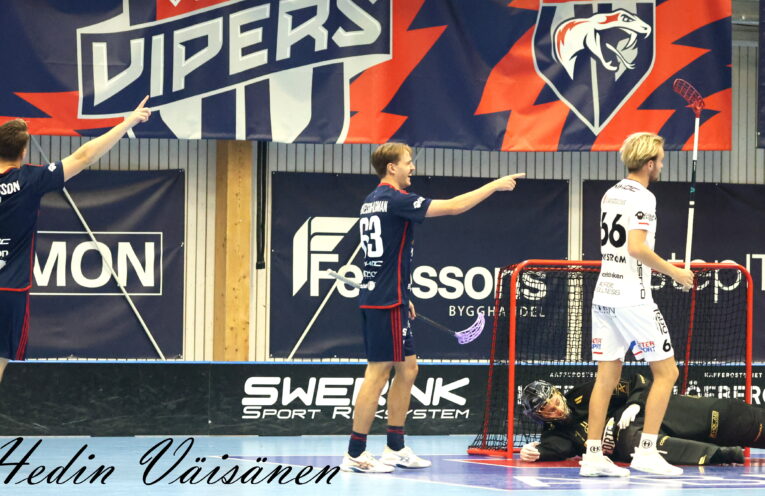 Växjö Vipers Jönköpings IK